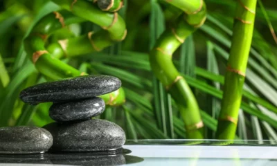 faire un jardin zen pas cher