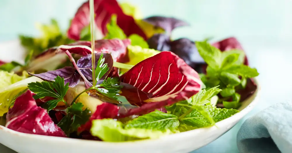 Salade d'été avec un filet d'huile de chanvre