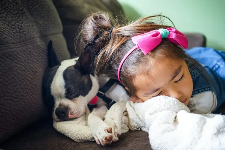 animaux et développement d'un enfant. Jeune enfant et petit chien dormant sur le sofa