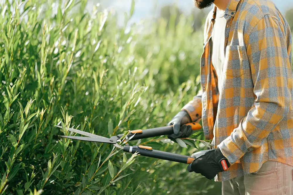 travail dans le jardin